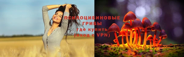 меф Инта