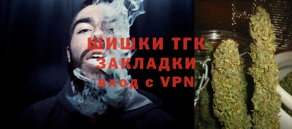 дживик Балахна